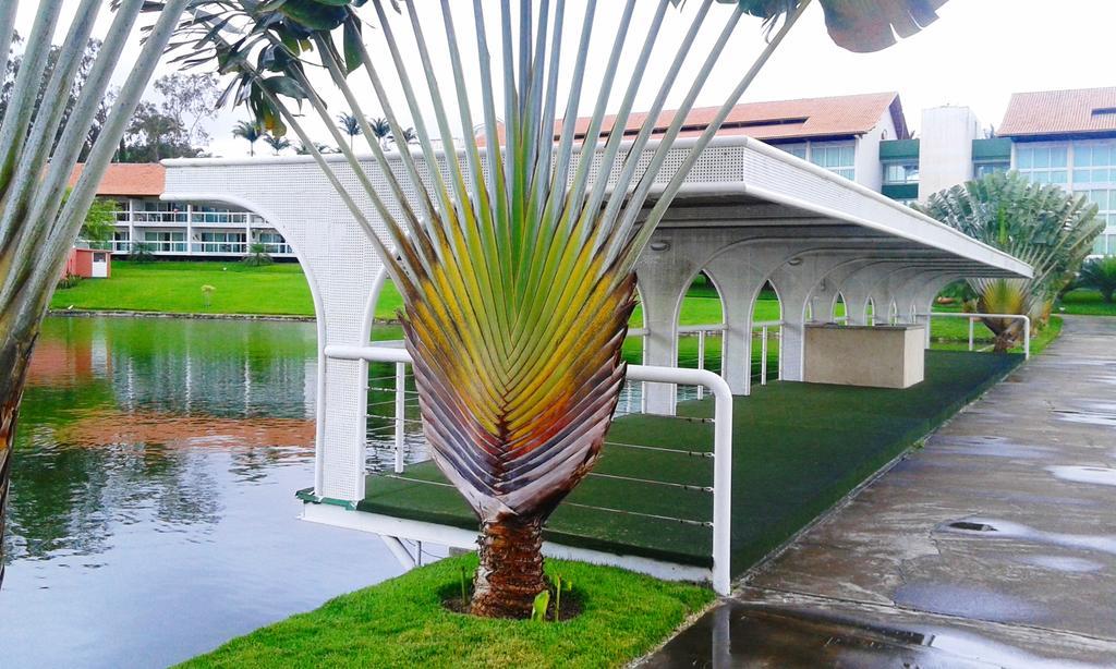 Flat No Hipica -