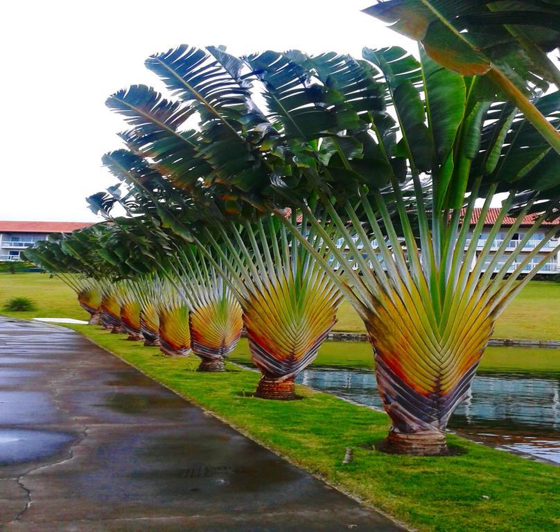 Apartment Flat No Hipica - Gravata (Gravata, Pernambuco)